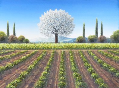 Always Symmetrical ?