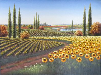 Sunflowers and Vineyards
