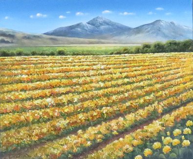 Sunflower Mountains ?