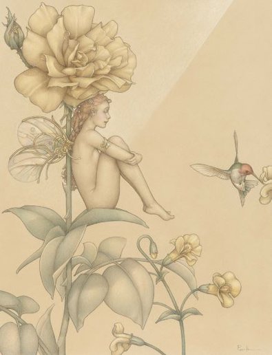 Shade of the Rose (paper)